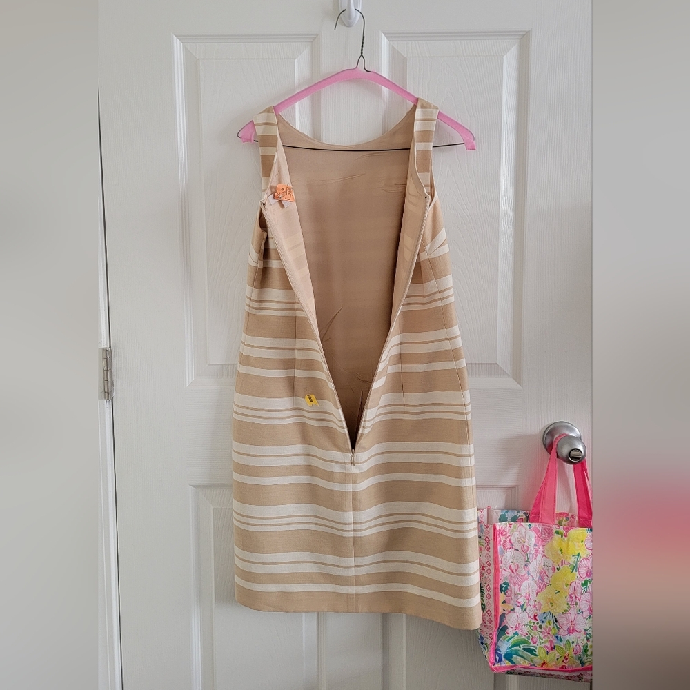 Banana Republic Tan and Cream Striped Boatneck Shift Dress, Size 2 - Picture 7 of 16